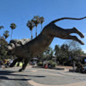 Meet your Posher, Timothy